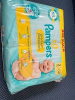 Pampers premium Protection Dresden - Loschwitz Vorschau