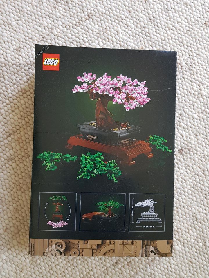 Lego Bonsai Tree in Berlin