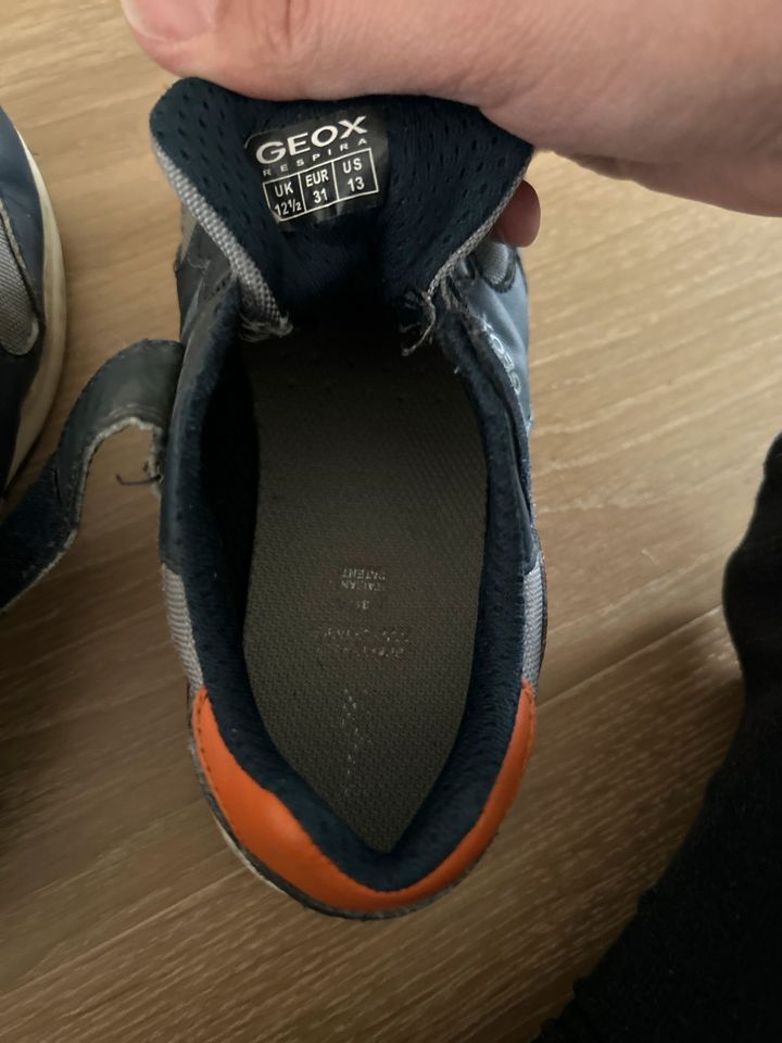 Sneaker GEOX in blau/grau/orange in Schnaittach