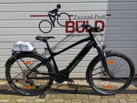 Grecos Big Foot-E E-MTB, SUV, Mountainbike, Bosch, reduziert Niedersachsen - Vechta Vorschau