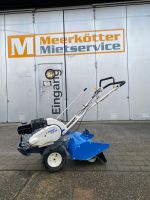 Staub STR 56 Umkehrfräse/Bodenfräse/Motorhacke - Mieten Borken Nordrhein-Westfalen - Borken Vorschau