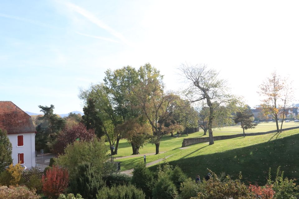 Reihen-Endhaus mit neuer Heizung, Garten und Garage direkt an der Klosterwiese "Wohnen im Herzen von Lorsch" in Lorsch