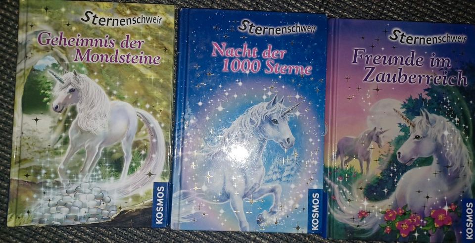 Sternenschweif Bücher, Einhorn, in Süderbrarup