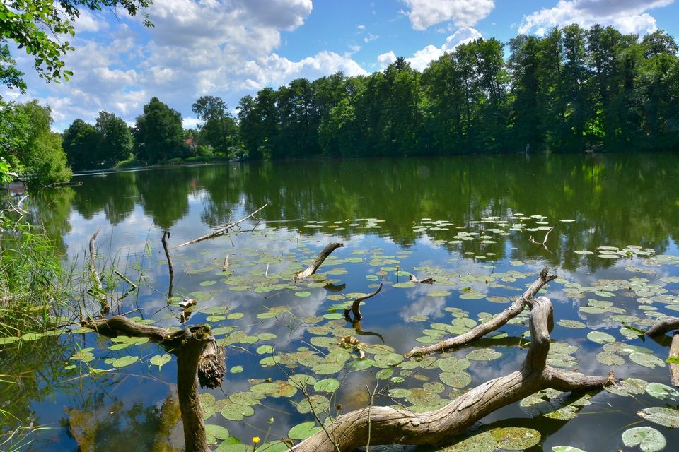 familienfreundliche Ferienwohnung Naturlage im Wald Seddiner See in Seddiner See