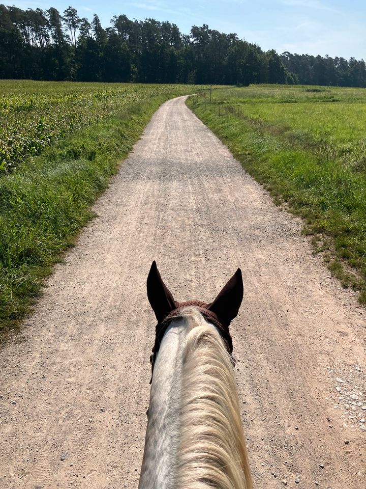 Reitbeteiligung Westernreiten in Erlangen