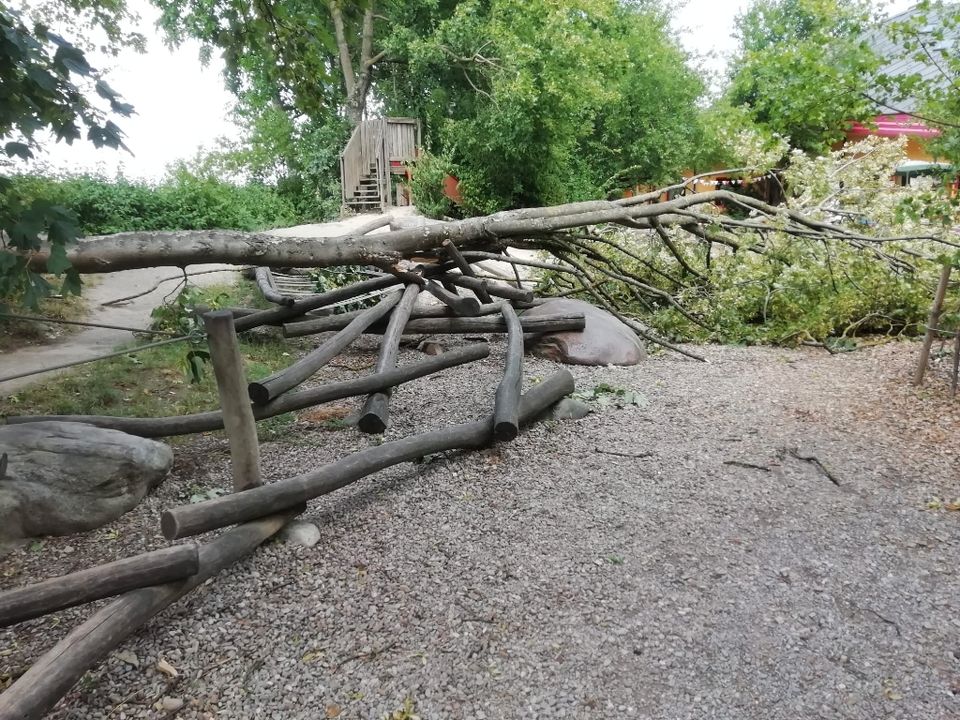 Sturmschaden Baumfällung Fällung in Augsburg Stadtbergen Neusäß in Fischach