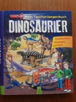 Kinderbuch, Dinosaurier Baden-Württemberg - Altbach Vorschau