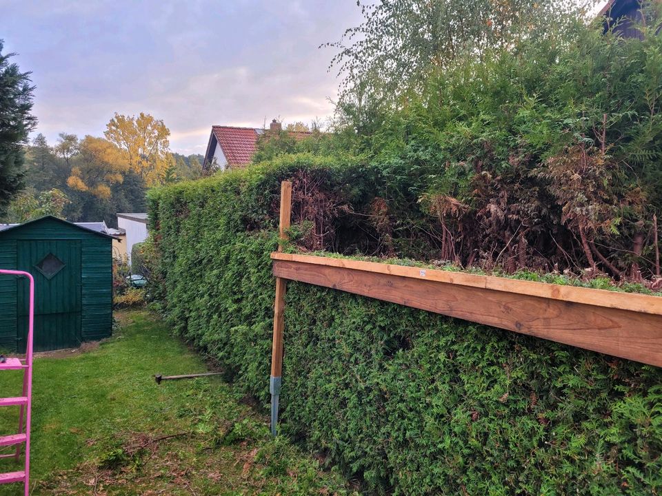 Gartenberäumungen - Heckenverschnitt - Hecke Entfernen in Zwickau