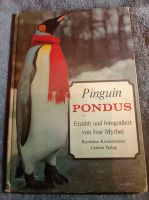 Pinguin Pondus, Kinderbuch, Ivar Myrhoj, 3.Auflage1967 Sammlerstü Baden-Württemberg - Alfdorf Vorschau