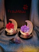 Mond Lampe Amethyst Rosenquarz witchy gothic wicca Unikat Kristal Hamburg-Nord - Hamburg Ohlsdorf Vorschau