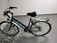 Damenfahrrad Giant 28Zoll Dresden - Briesnitz Vorschau