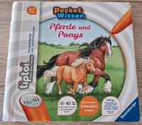 Tiptoi Prede und Ponys Buch Sachsen-Anhalt - Magdeburg Vorschau