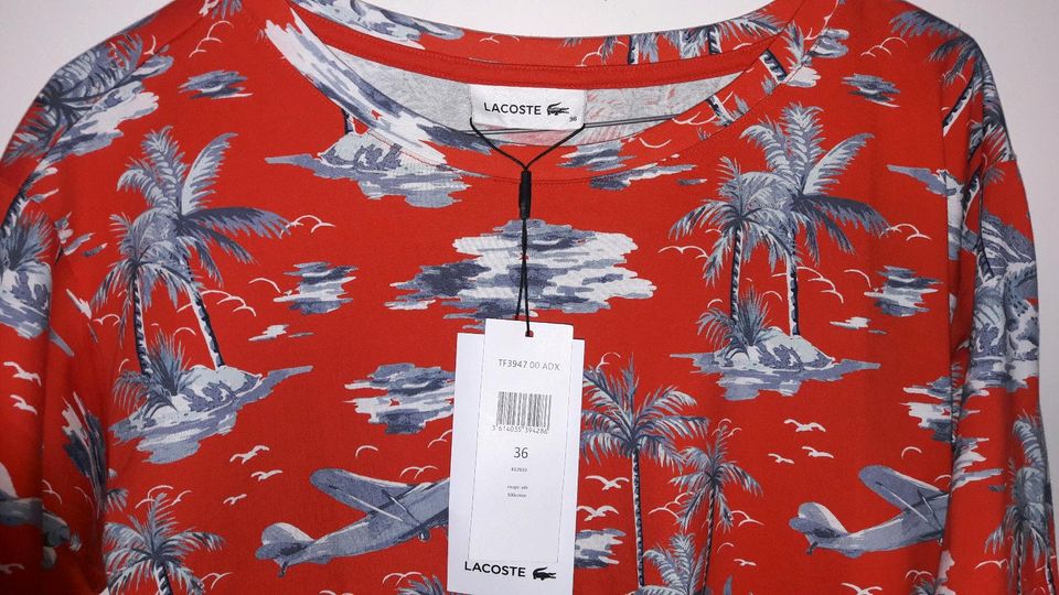 Lacoste Designershirts rot;weiß all over holiday print Gr. 36 neu in Frankfurt am Main