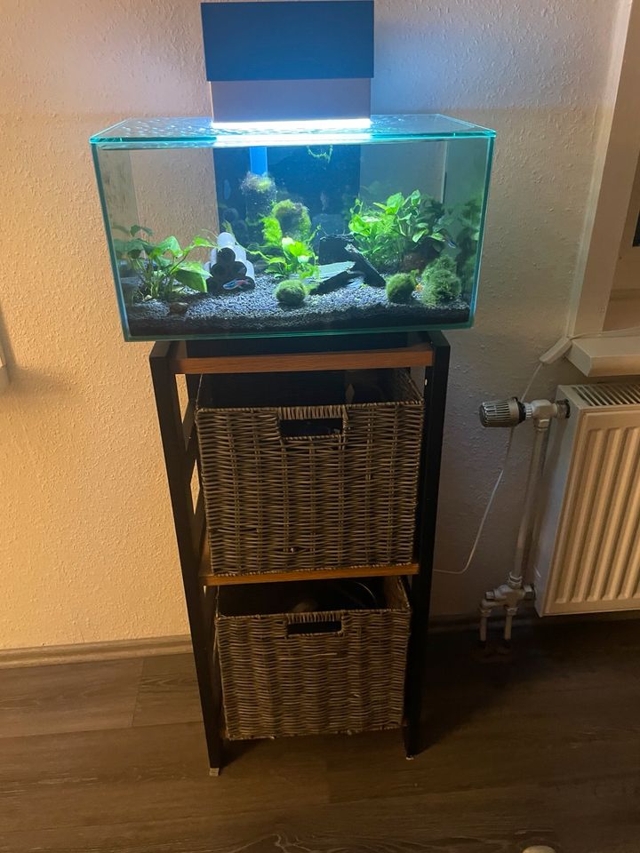 Fluval Edge Aquarium. 23L mit Anrichte und Zubehör in Uslar