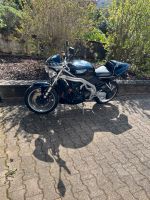 Triumph Speed Triple 955i Baden-Württemberg - Sinsheim Vorschau