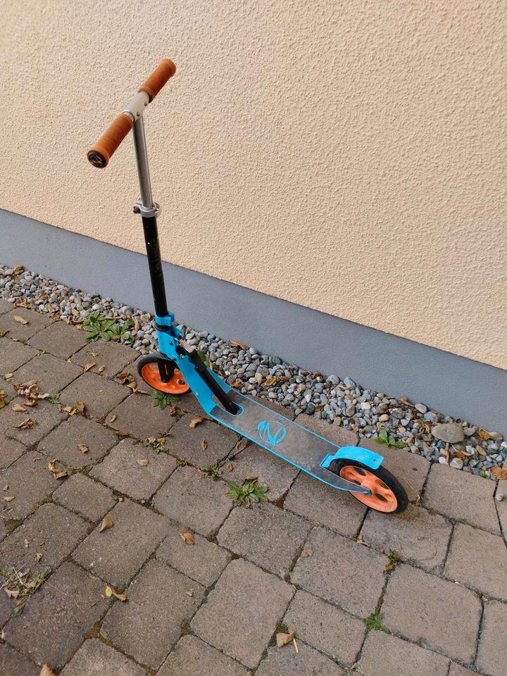 Zycoe Roller in Leutkirch im Allgäu