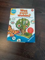 Spiel "Was passt wohin?" Leipzig - Leutzsch Vorschau