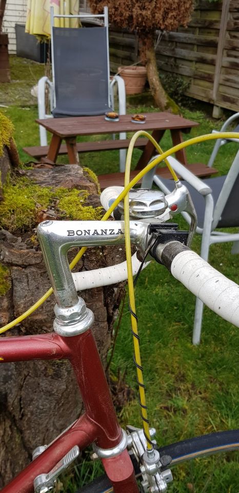 Bonanza Vintage Rennrad (Baujahr 1977) in Lottstetten