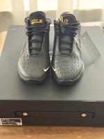 Nike LeBron 22 Black Label US9 EU42.5 Bayern - Hepberg Vorschau
