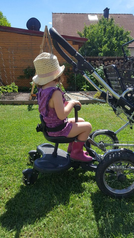 Emmaljunga Kinderwagen in Mettenheim Rheinhessen