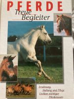 Pferde     Treue Begleiter Nordrhein-Westfalen - Viersen Vorschau
