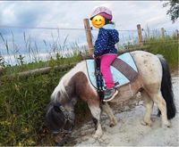 Reitbeteiligung für Shetty gesucht Eltern-Kind-Gespann Ponyreiten Niedersachsen - Helmstedt Vorschau
