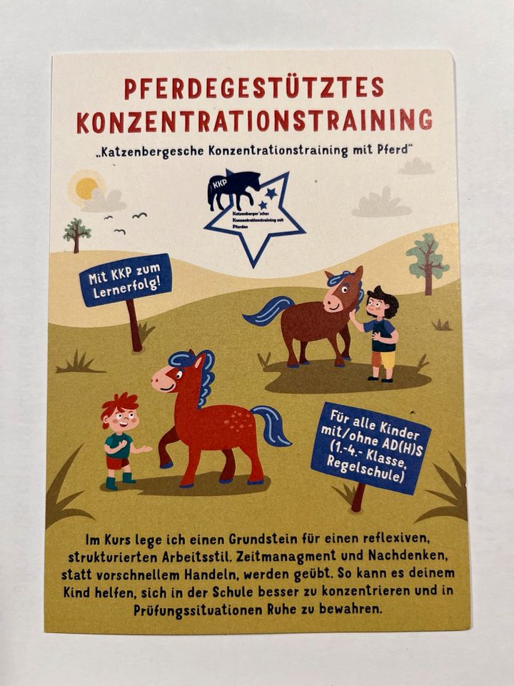 Konzentrationstraining mit Pferd/Pony für Kinder z. B. AD(H)S in Thedinghausen