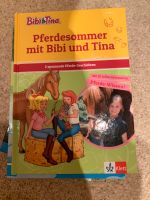 Bibi und Tina Bücher je 2 € Ausritt ins Glück Kinder Weihnachten Bayern - Bad Kötzting Vorschau