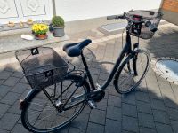 Giant Damenrad Citybike Cityrad Fahrrad Korb Nordrhein-Westfalen - Steinheim Vorschau