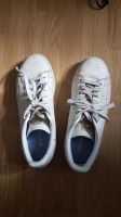 Adidas Sneaker Sportschuhe Gr 39,3 Berlin - Wilmersdorf Vorschau