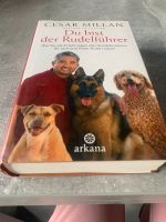 CÉSAR MILAN- DU BIST DER RUDELFÜHRER, Buch, Hund Niedersachsen - Salzgitter Vorschau