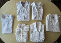 6 Blusen Kurz-/Langarm weiß Top-Zustand Größe 40/42 Gerry Weber Stuttgart - Vaihingen Vorschau