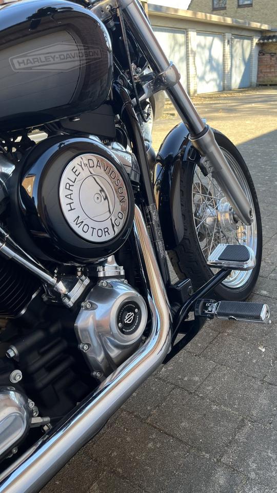 Harley-Davidson Softail Standard / Dr. Jekill & Mr. Hyde Anlage in Büdelsdorf