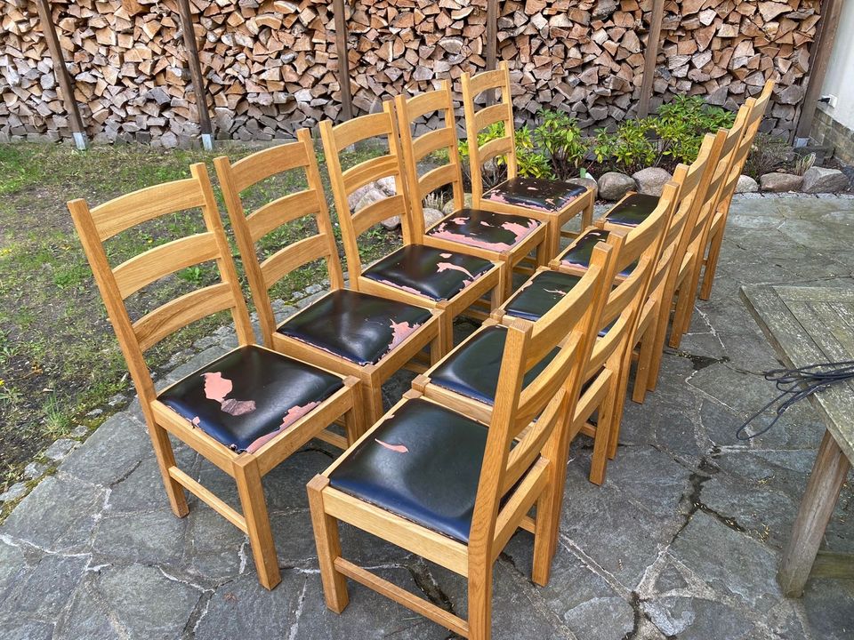 10 Stühle aus massiver Eiche Natur (170€ für alle) in Potsdam