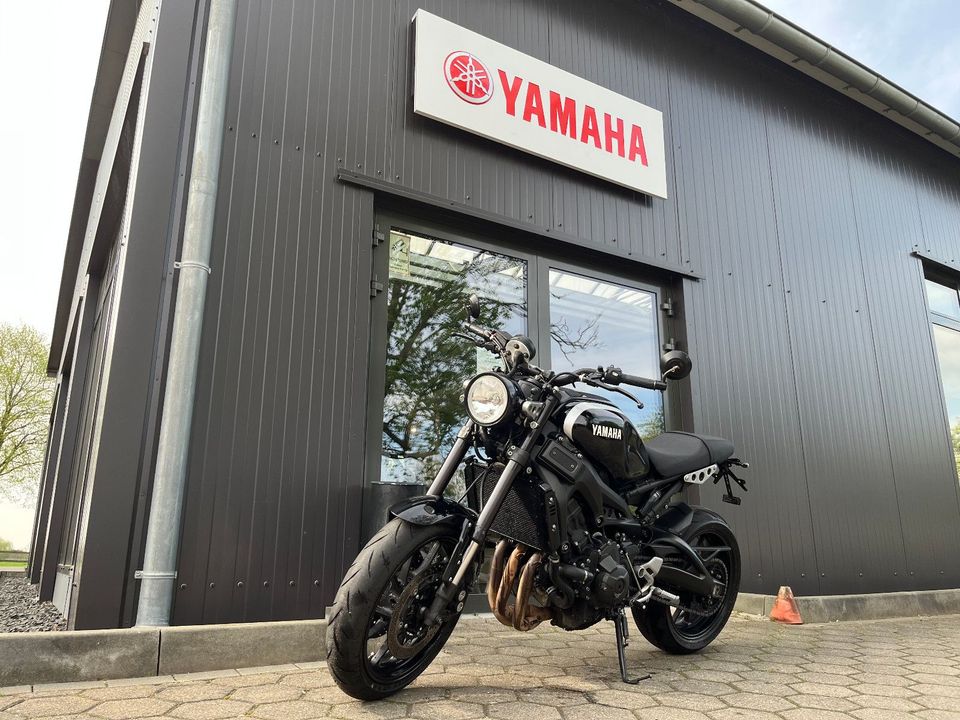 Yamaha XSR 900 in Haseldorf