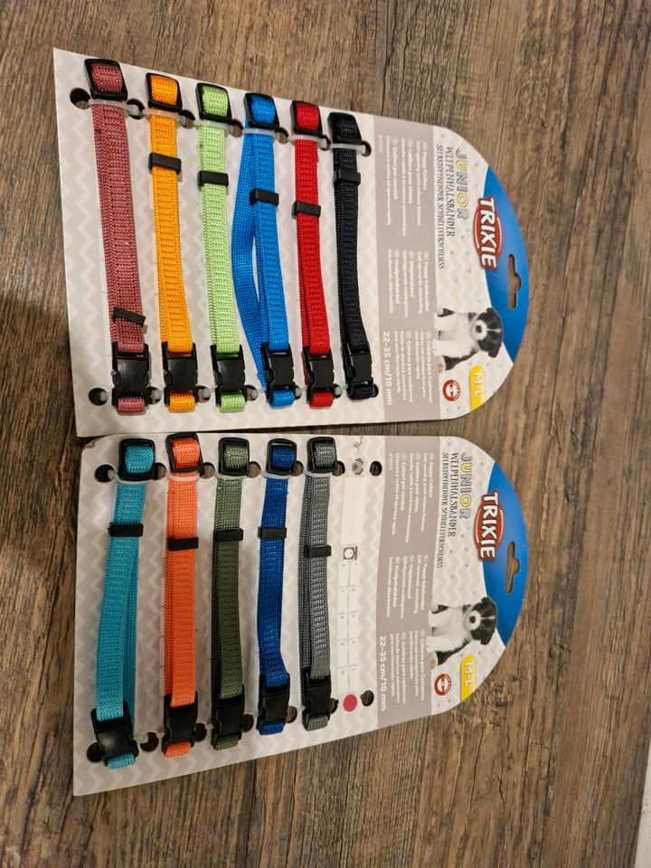 11x Welpen Halsband M-L Neu in Tangerhütte