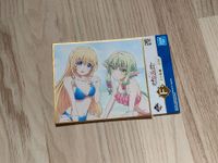 Goblin Slayer Shikishi | Priestess and Elf Nordrhein-Westfalen - Castrop-Rauxel Vorschau