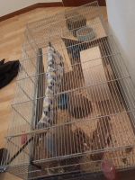 Hamster mit Käfig Nordrhein-Westfalen - Tönisvorst Vorschau
