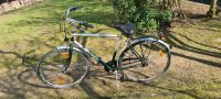 Pegasus Herren Rad Fahrrad 28 Zoll 5 Gang Nordrhein-Westfalen - Neuss Vorschau