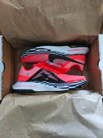 Nike Zoom Ultrafly Trail Carbon Größe 46 Laufschuhe wie Vaporfly Hessen - Niedernhausen Vorschau