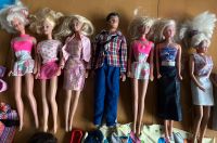 6  große Barbies und  Ken  mit viel Zubehör Baden-Württemberg - Gemmrigheim Vorschau