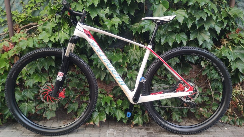 Specialized Stumpujumper Carbon Hardtail Mountainbike 12v in Bremerhaven