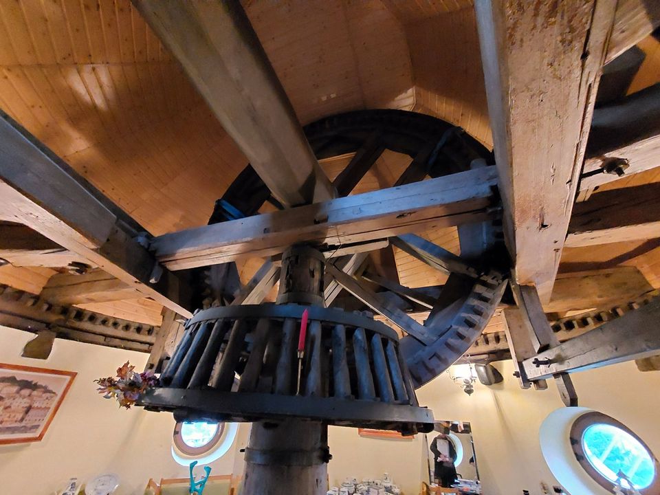 Liebhaberstück: Sanierte Holländer- Windmühle in Dresden in Dresden