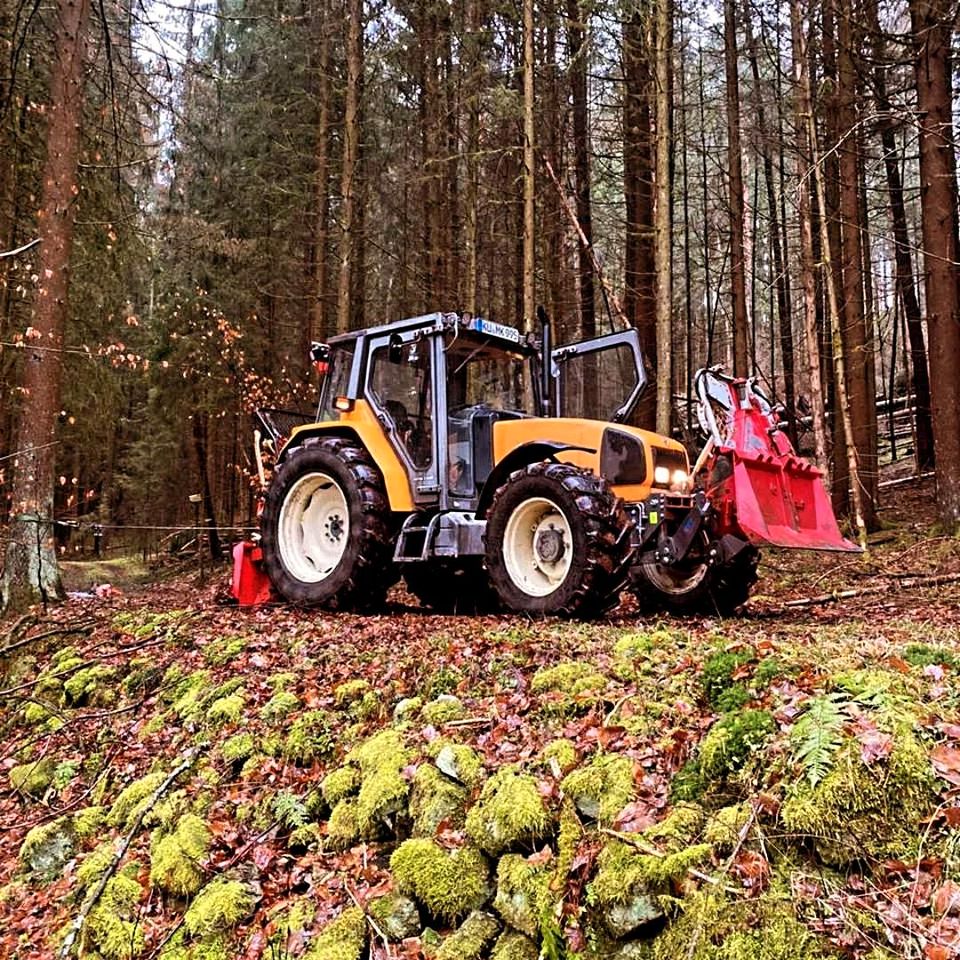Baumfällung Forstwirt Zufäller Waldarbeiter in Kulmbach