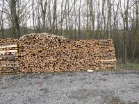 Brennholz Kaminholz Laubholz Ahornholz in Meterenden Nordrhein-Westfalen - Beverungen Vorschau