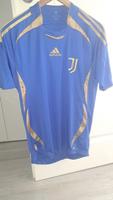 Juventus Trikot Gr. XS Niedersachsen - Garbsen Vorschau