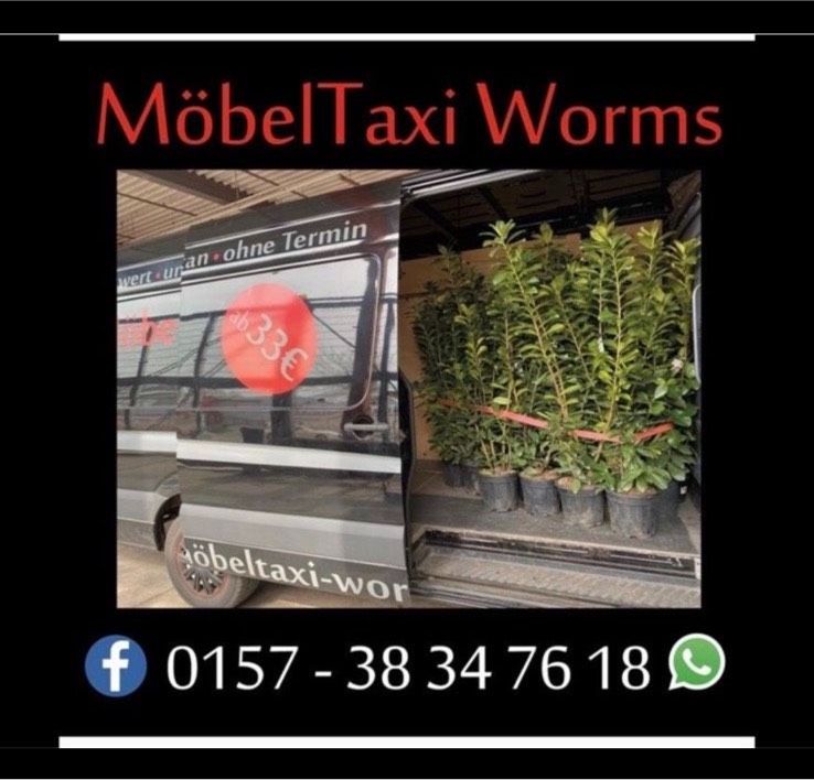 Umzug, Transporter, Entsorgung, Möbeltaxi, Möbeltransport in Worms