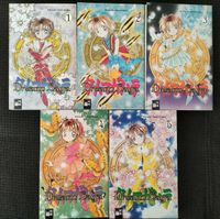 Megumi Tachikawa Dream Saga 1-5 komplett Manga Shojo Fantasy Baden-Württemberg - Breisach am Rhein   Vorschau