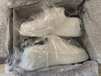 Phillip  Plein Bayern - Landshut Vorschau