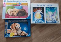 Puzzle zu verschenken Rheinland-Pfalz - Uelversheim Vorschau